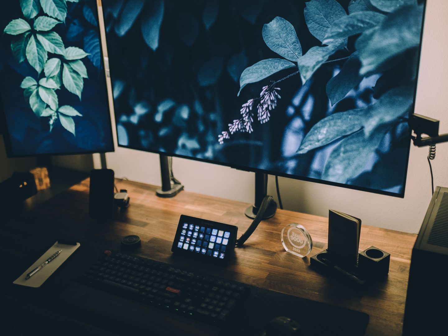 OLED versus IPS: The Trade-off